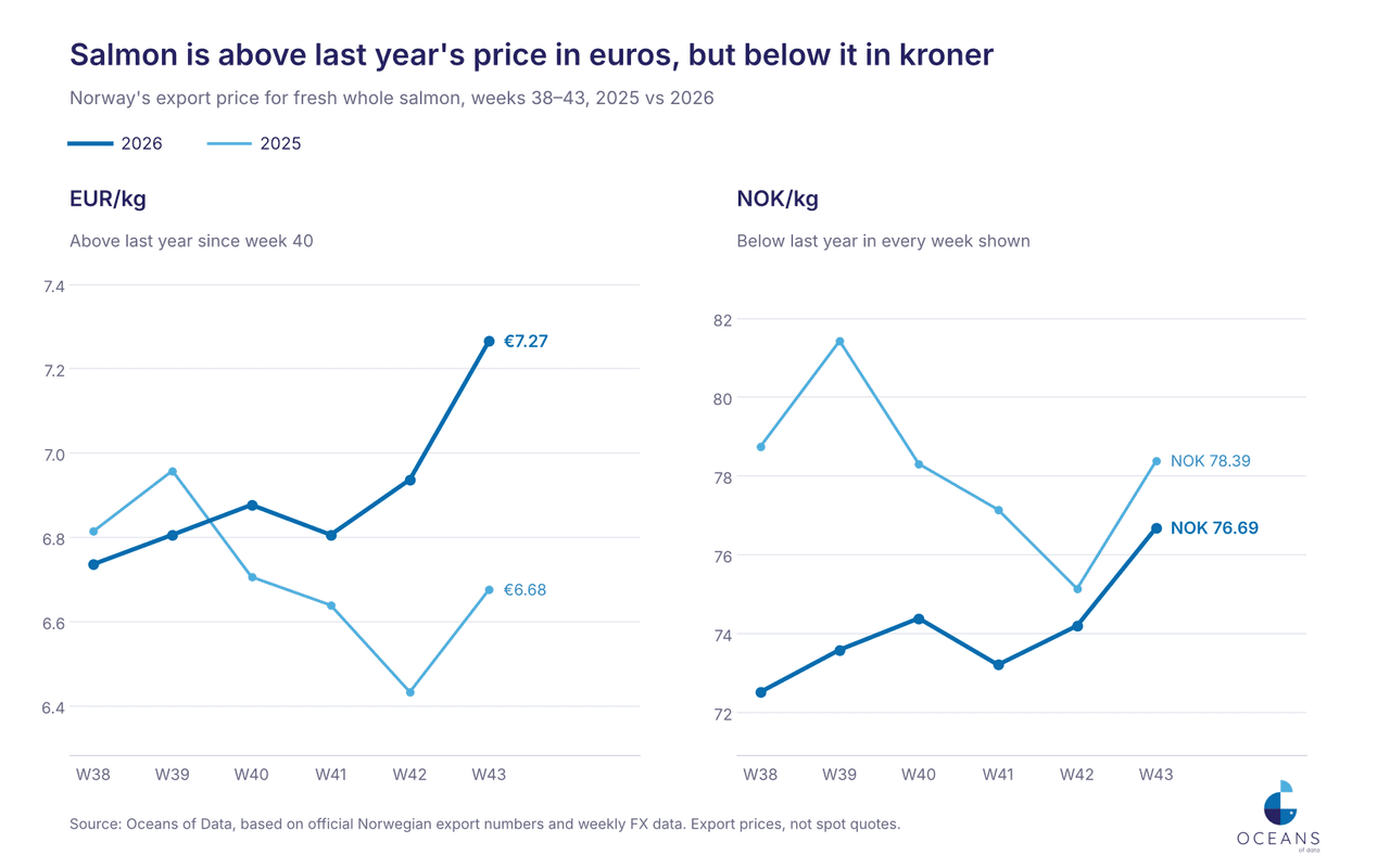 Line charts showing Norway export prices for fresh whole salmon in weeks 38 to 43 are above last year in euros but below in kroner